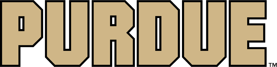Purdue Boilermakers 2020-Pres Wordmark Logo iron on transfers for clothing